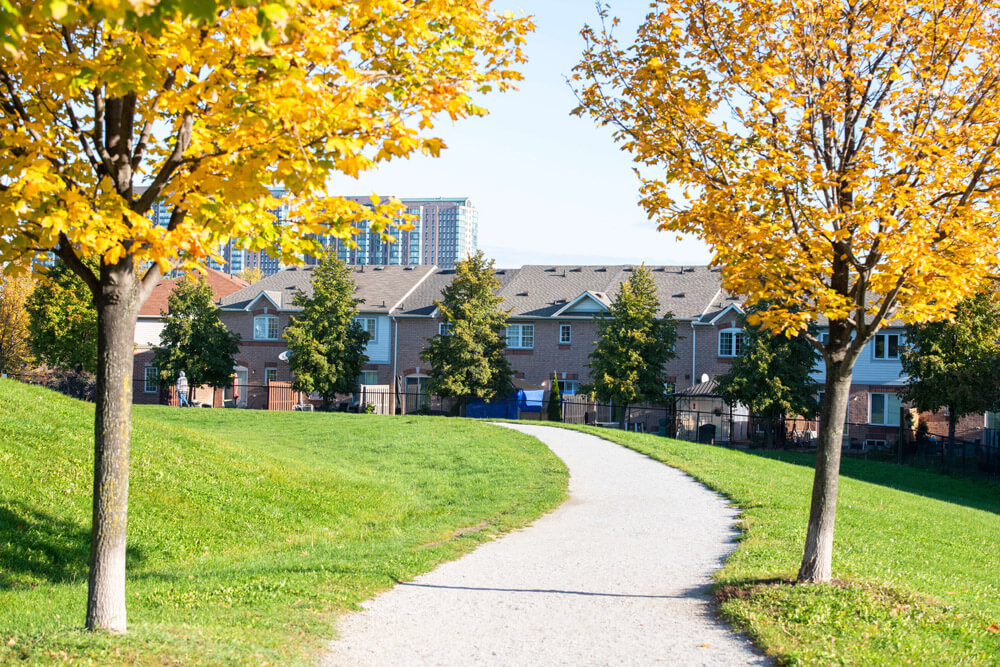 Cooksville office view 4