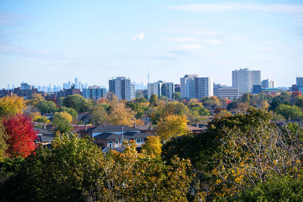 Cooksville office view 3