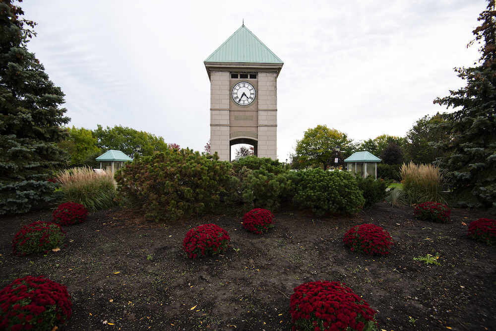 Cornwall office view 3