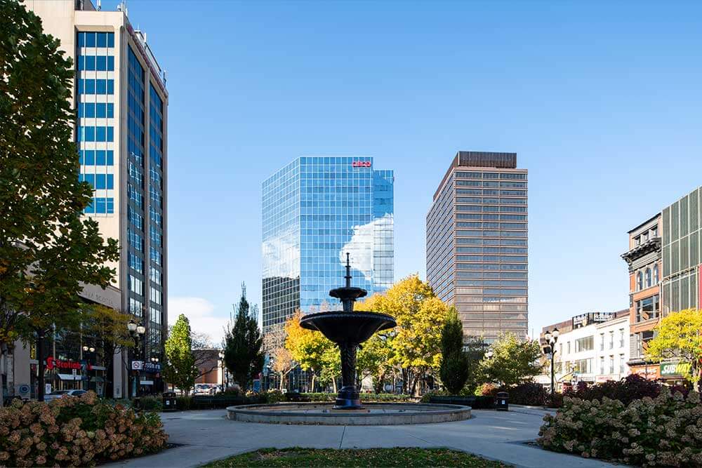 Hamilton office view 2