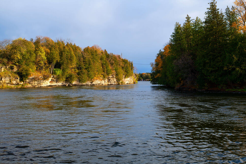 Kawartha Lakes office view 2
