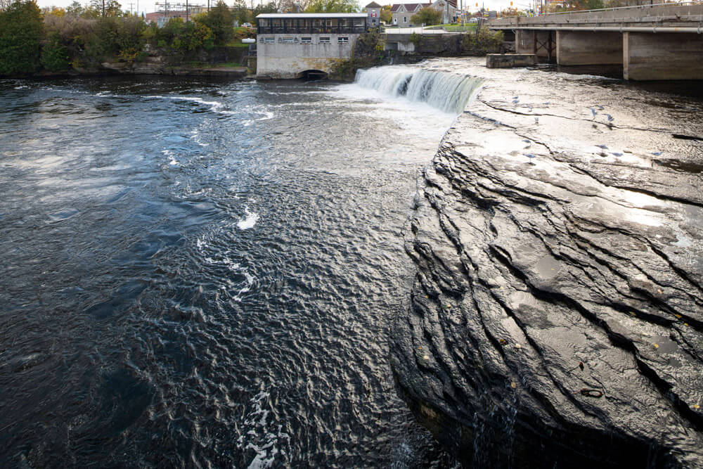 Kawartha Lakes office view 3